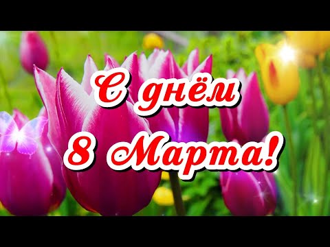 С Праздником Весенним! С Днём 8 Марта!😘🌺🌺🌺🌺🌺🌺🌺🌺🌺🌺🌺🌺🌺🌺🌺🌺🌺🌺🌺🌺🌺🌺🌺🌺🌺🌺🌺🌺🌺🌺🌺🌺🌺 - Популярные видеоролики рунета