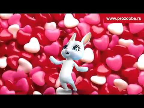 Поздравление День святого Валентина - Поздравления с Днем влюбленных от Зайки Домашней Хозяйки - Популярные видеоролики рунета