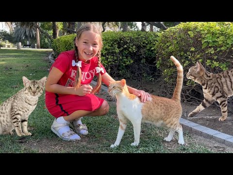 Кошки потерялись! София и веселый Challenge в детском парке - Популярные видеоролики рунета