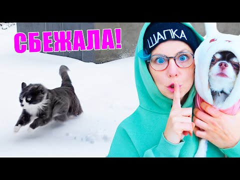 КОШКА ПОТЕРЯЛАСЬ! Заброшенный дом, прогулка с питомцами, первый снег - Популярные видеоролики рунета