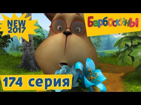 Барбоскины - 174 серия 💞 Генкина любовь 💞  Новая серия 2017 года! Премьера - Популярные видеоролики рунета