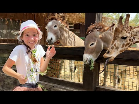 Веселое приключение Софии и папы в зоопарке с животными - Популярные видеоролики рунета