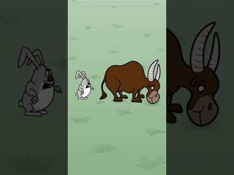 Заяц и бык #мультфильмы #анимации #прикол #животные - Популярные видеоролики рунета