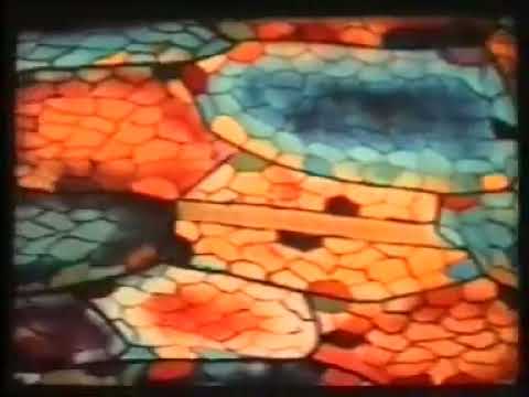 Рекристаллизация металлов и сплавов. Учебный фильм по материаловедению (1977) - Популярные видеоролики рунета