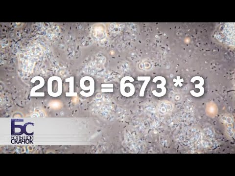Научные сенсации - 2018. Итоги года | Большой скачок - Популярные видеоролики рунета