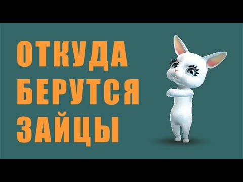 Откуда берутся зайцы? - Популярные видеоролики рунета