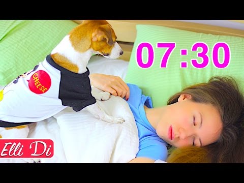 МОЁ УТРО И УТРО МОЕЙ СОБАКИ / MY MORNING ROUTINE with dog | Elli Di Pets - Популярные видеоролики рунета