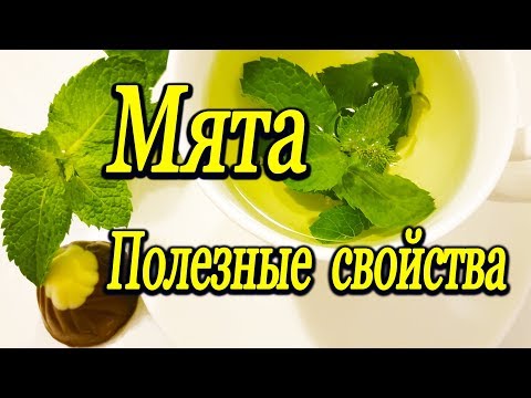 мята почему полезно пить мятный чай польза и противопоказания мяты - Популярные видеоролики рунета