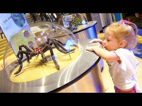 Детский музей науки - Развлечения для детей / Children's Museum Kids Pretend Play - Популярные видеоролики рунета
