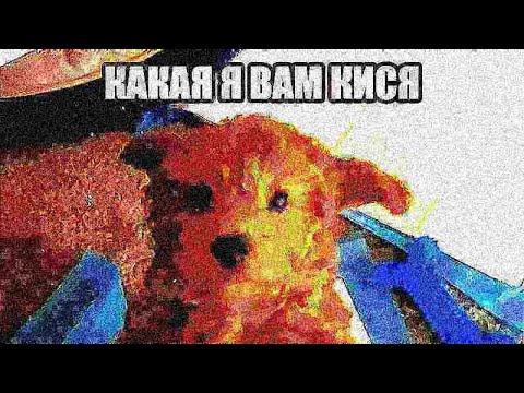 мы назвали собаку кисей - Популярные видеоролики рунета
