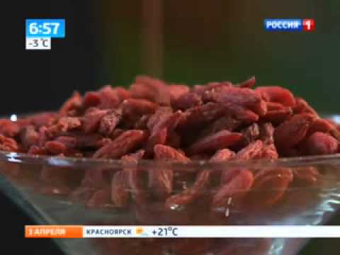 ягоды годжи купить - Популярные видеоролики рунета