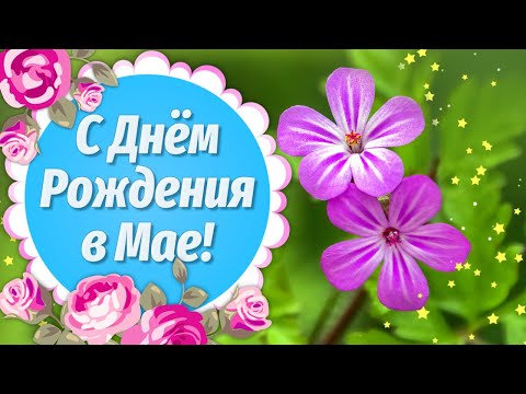 С Днем Рождения в Мае💐Красивое поздравление с Днем Рождения🌼Видео Открытки с Днем Рождения - Популярные видеоролики рунета