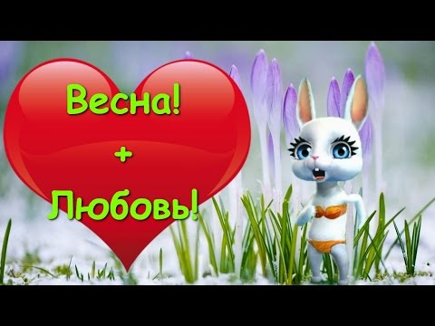 Zoobe Зайка Если в окно лучиком весна :-) - Популярные видеоролики рунета