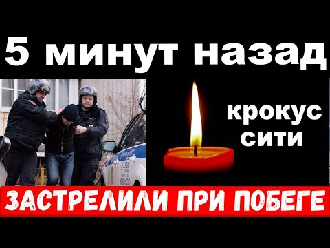 5 минут назад /  чп , застрелили при побеге / новости комитета Михалкова - Популярные видеоролики рунета