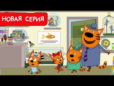 Три Кота | Черепаший побег | Мультфильмы для детей 2024 | Новая серия №231 - Популярные видеоролики рунета