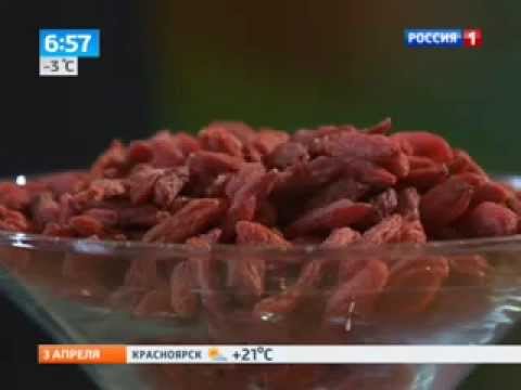 ягоды годжи где можно купить - Популярные видеоролики рунета