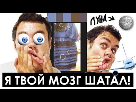 5 чувств которые вас обманывают (#thedress) - ТОПЛЕС - Популярные видеоролики рунета